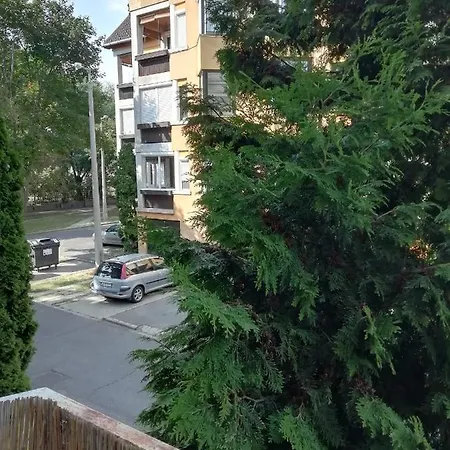 Rokus Apartman * Segedín